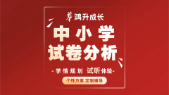 中小学试卷分析