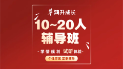 10-20人辅导班